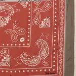 Women's Paisely Printed Silk Scarf